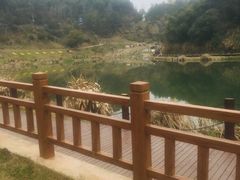 -梅岭月亮湾山体公园