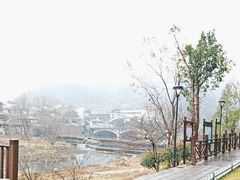 -寨子里的·钵钵菜·湘西山里菜(魅力湘西店)