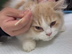 -宠颐生汉谟拉比宠物医院