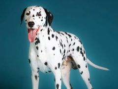 -中福百货(望京店)