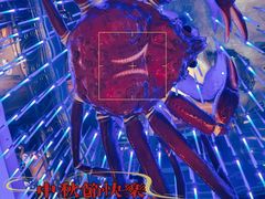 -蟹之国·精品蟹料理(极地店)