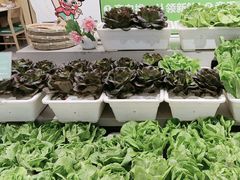 -九孔·筒骨莲藕汤锅(大明宫万达店)