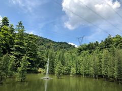 -广州市帽峰山景区