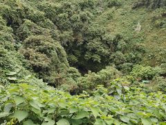 -海口火山口国家地质公园
