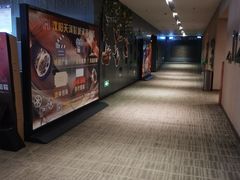 -汉阳天河电影城(王家湾店)