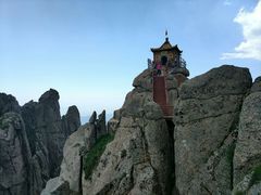 -芦芽山旅游度假区