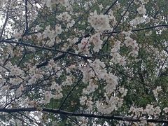 -滆湖低碳生态公园