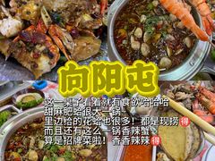 -日照灯塔风景区