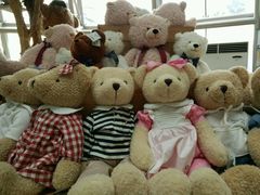 -济州岛泰迪熊博物馆