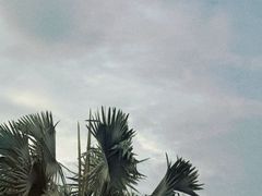 -厦门园林博览苑