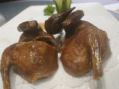 -梧桐庄园