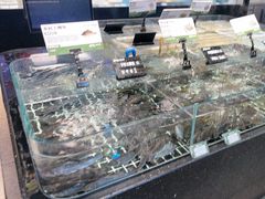 -湘轩·土菜研究院(光大店)