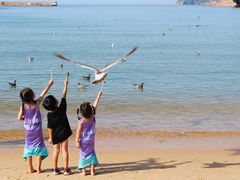 -海驴岛(荣成市)