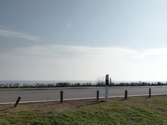 -贡湖湾湿地公园
