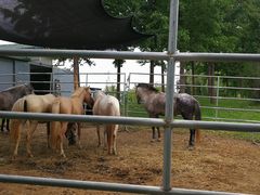 -酷鱼垂钓CLUB(朝阳区博大路店 )