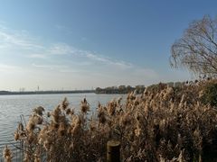-南湖湿地公园