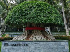 -海南清水湾莱佛士酒店