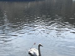 -沈阳森林动物园