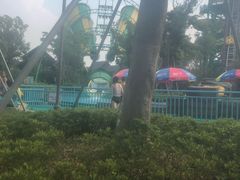 -苏州乐园森林水世界