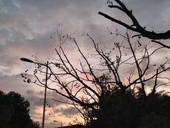 -江南大学(蠡湖校区)