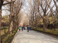 -姚记炒肝店(簋街店)