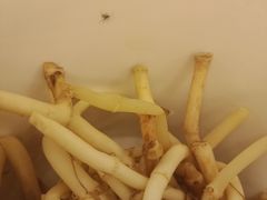 -山城年华老火锅(玉林店)