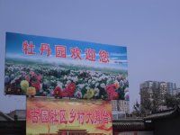 -曹州百花园