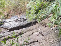 -会稽山峡洞漂流-上青古道