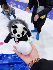 -Mr·Kuma酷么先生雪之乐园