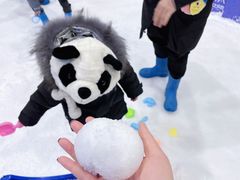 -Mr·Kuma酷么先生雪之乐园
