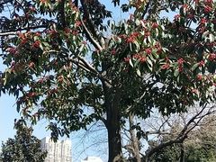 -常州古运河南大街文化旅游区-人民公园
