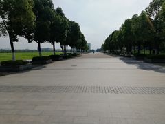 -东南大学(九龙湖校区)