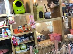 -e嘉宠物店(北大街店)