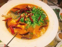 -清水亭湖北菜(大屯DT51店)
