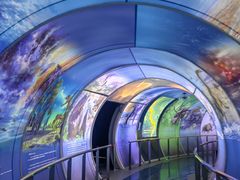 -房山世界地质公园博物馆