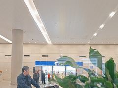-温州龙湾国际机场