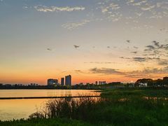 -金银湖国家城市湿地公园