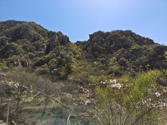 -大岭沟猕猴桃谷风景区