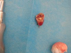 -微笑牙科口腔(三亚迎宾院区)