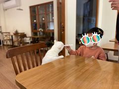 大堂-有猫主题·治愈系猫咖(曾厝垵店)