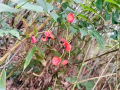 -敬亭山风景名胜区