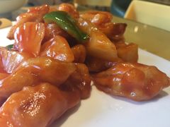 -素虎小呆鸟(西二旗店)