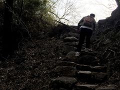 -王顺山国家森林公园