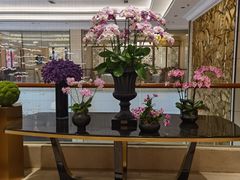 -龙悦湾酒家·八阵鱼生·渔人码头店