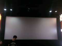 -天幕新彩云国际影城(激光巨幕店)