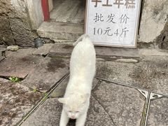 -鸣鹤古镇