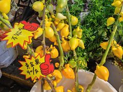 -循礼门鲜花花市(武汉循礼门店)