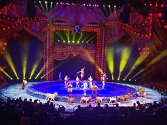 -珠海横琴长隆《卡卡虎奇遇记》