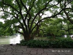 -西溪国家湿地公园