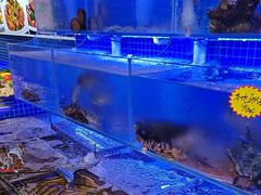 -77号渔船·蒸海鲜青岛菜(积米崖店)